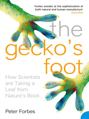 cover image of The Gecko's Foot